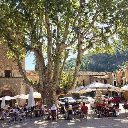 Charmante Maison A Saint Guilhem Le Desert Bagian luar foto